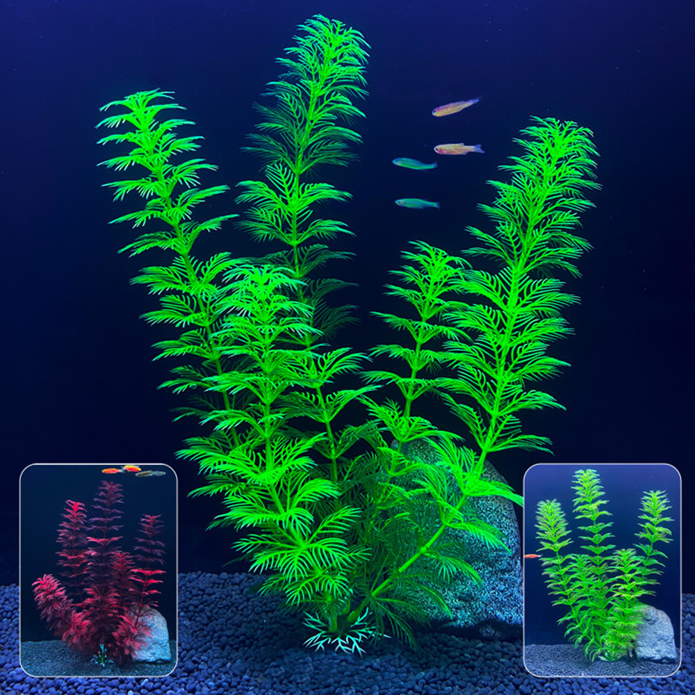 نباتات اصطناعية للأحواض المائي - مراجعة Aquarium Plants Live وسعره