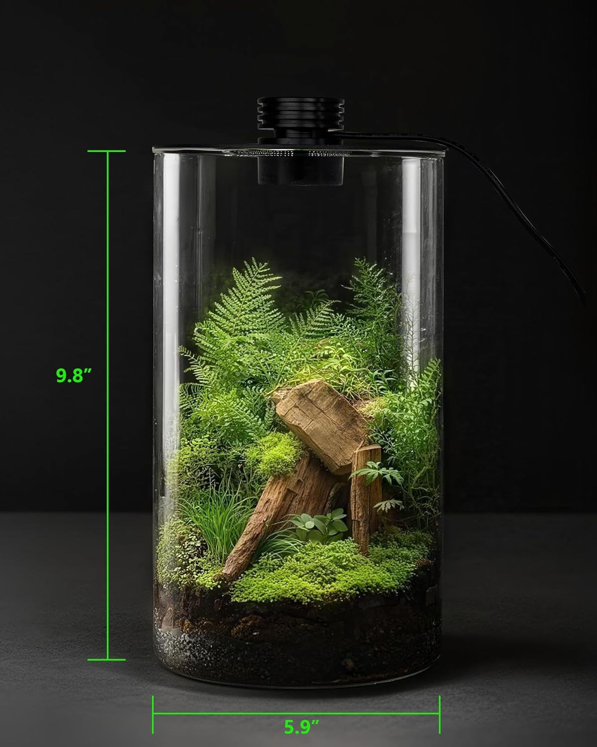 حوض زجاجي داخلي مع إضاءة نمو ا - مراجعة Planted Tank وسعره