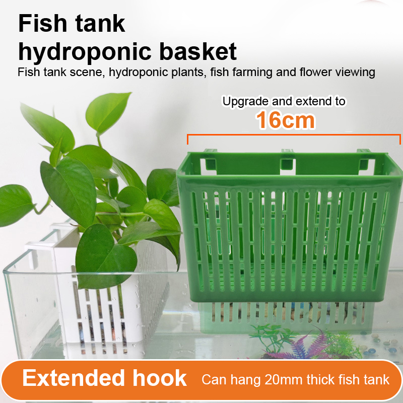 حامل نباتات مائية معلق لحوض ال - مراجعة Aquarium Plant Holder وسعره