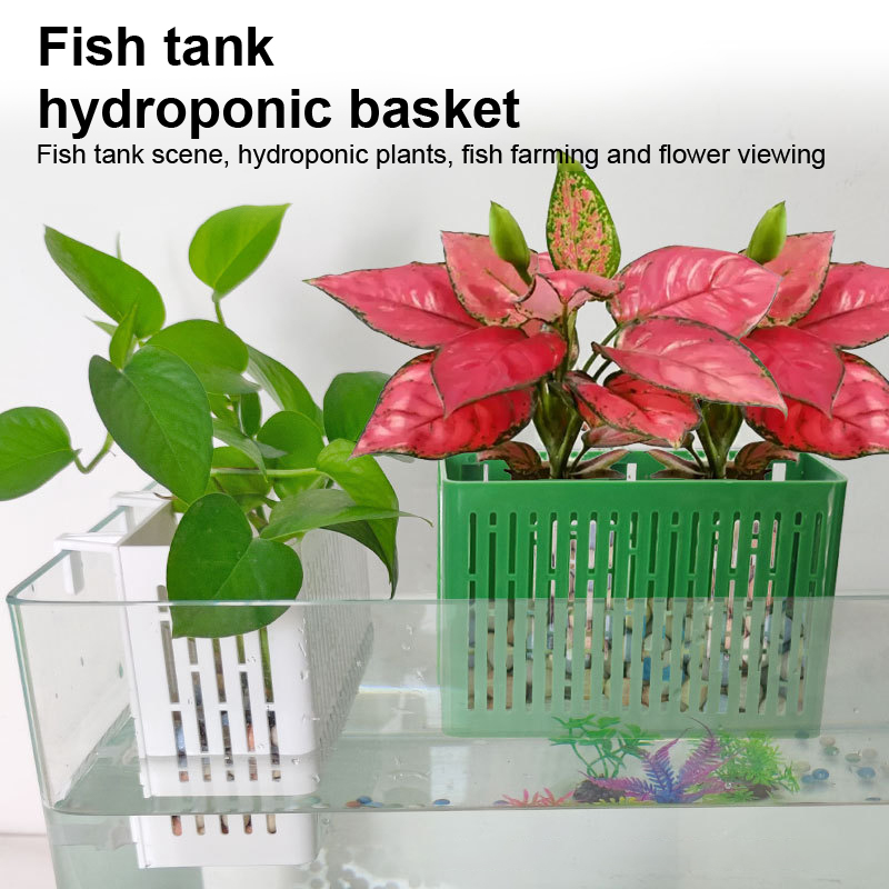 حامل نباتات مائية معلق لحوض ال - مراجعة Aquarium Plant Holder وسعره