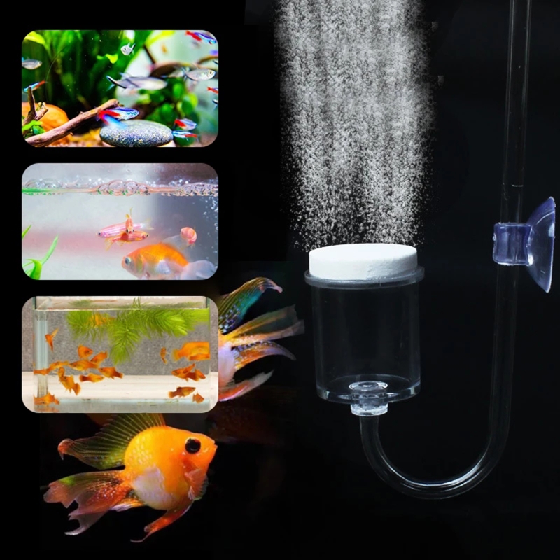 ناشر CO2 لحوض السمك ، خزان زجا - مراجعة Aquarium Liquid Carbon وسعره